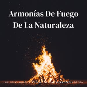 Armonías De Fuego De La Naturaleza: Melodías Ambientales Para Una Atmósfera Serena De Spa - Estudio de efectos de chimenea
