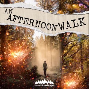 An Afternoon Walk - Forest Soundscapes