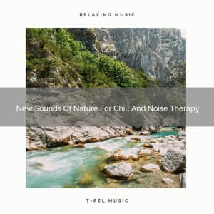 2020 Best: New Sounds Of Nature For Chill And Noise Therapy - Water Sounds for Sleep