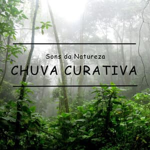 Sons da Natureza: Chuva Curativa - Chuva Para Dormir