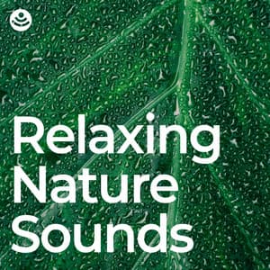 Relaxing Nature Sounds - Relaxing Nature Sounds Collection