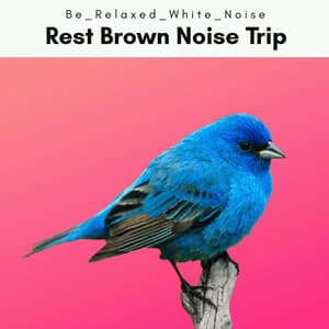 A Rest Brown Noise Trip - Be Relaxed White Noise