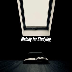 Melody for Studying - Chill Vibes