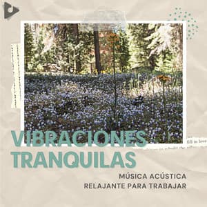 Música Acústica Relajante Para Trabajar - Vibraciones Tranquilas