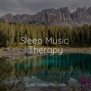 Sleep Music Therapy - Mindfulness Meditation Universe
