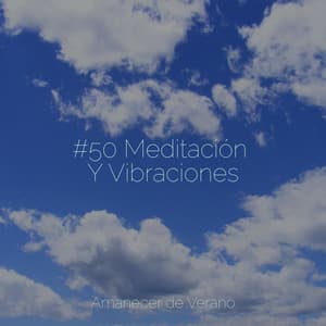 #50 Meditación Y Vibraciones - Musica Relajante