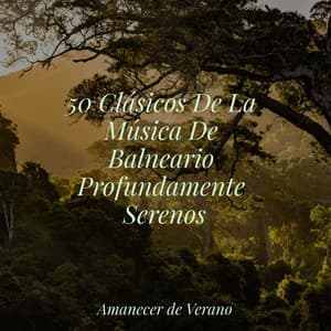 50 Clásicos De La Música De Balneario Profundamente Serenos - Musica Romantica