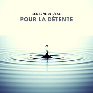 Les sons de l'eau pour la détente: Musique de méditation zen - Ensamble de Musique Méditation