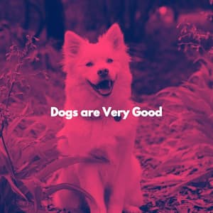Dogs are Very Good - Morning Brunch Music
