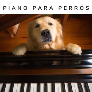 Piano Para Perros - Piano for Dogs