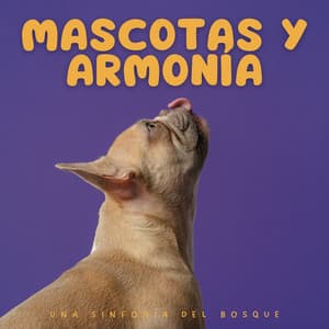 Mascotas Y Armonía: Una Sinfonía Del Bosque - Ruidos ambientales forestales