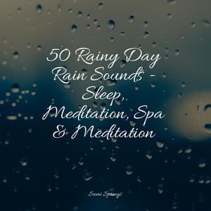 50 Rainy Day Rain Sounds - Sleep, Meditation, Spa & Meditation - Brown Noise