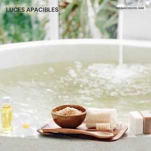 Luces Apacibles: Música de Spa - Relajacion Del Mar