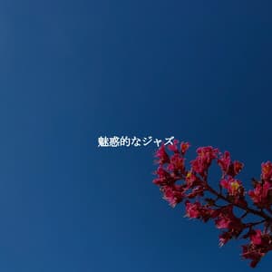 魅惑的なジャズ - Cofeehouse Music