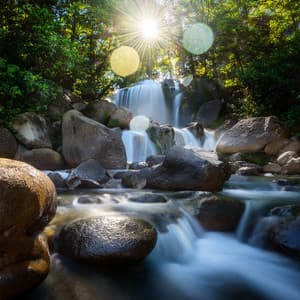 Music For Calm And Clarity - The Relaxing Music Collective