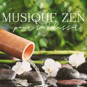 Musique zen pour se délasser: Équilibre et harmonie, Massage, Thalassothérapie et méditation - Zen Ambiance D'eau Calme