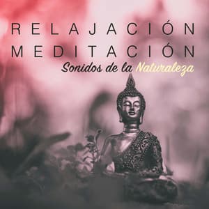 Relajación y Meditación: Sonidos de la Naturaleza Dulces Sueños - Agua Del Mar