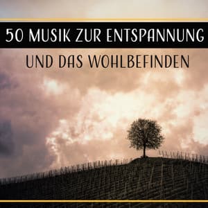 50 Musik zur Entspannung und das Wohlbefinden - Entspannungsmusik Welt