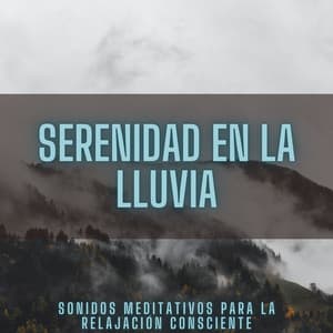 Serenidad En La Lluvia: Sonidos Meditativos Para La Relajación Consciente - Naturaleza y Lluvia