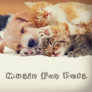 Music For Pets : A Restful Rest Vol 1. - Music For Pets