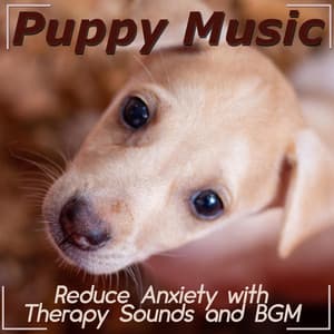 Puppy Music: Reduce Anxiety with Therapy Sounds and BGM - Puppy Music Dreams