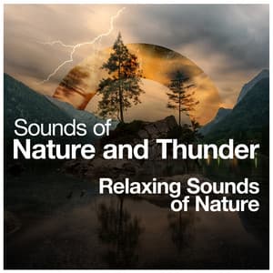 Sounds of Nature and Thunder - Relaxing Sounds Of Nature