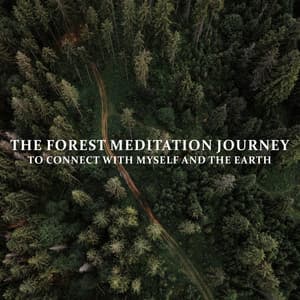 The Forest Meditation: Journey to Connect with Myself and the Earth - Sound of Nature Library