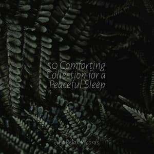 50 Comforting Collection for a Peaceful Sleep - Healing Yoga Meditation Music Consort