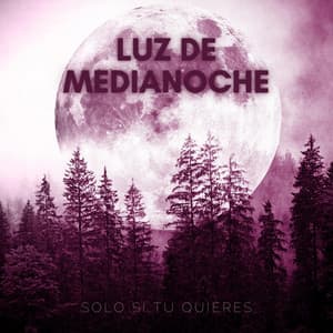 Solo Si Tu Quieres - Luz De Medianoche