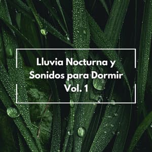 Lluvia Nocturna Y Sonidos Para Dormir Vol. 1 - Sonido mágico de lluvia para dormir