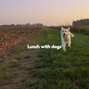 Lunch with dogs - Jazz Music for Dogs