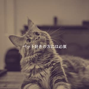 ペット好きの方には必須 - Jazz Ligera para Hoteles