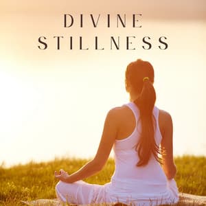 Divine Stillness - Tai Chi