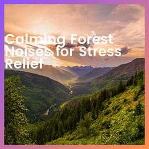 Calming Forest Noises for Stress Relief - Forest Sounds Channel