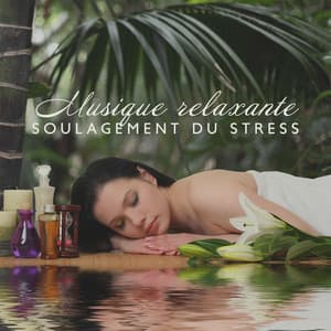Musique relaxante soulagement du stress: Sons de la nature pour un calme profond de l'esprit, Fond de massage corporel - Ensemble de Musique Zen Relaxante