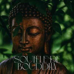 Souffle de Bouddha - Bouddha musique sanctuaire