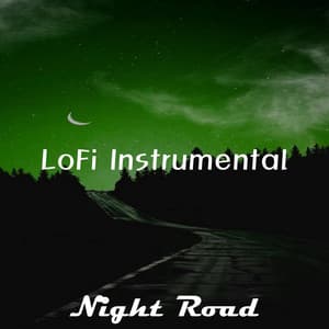 Night Road - LoFi Instrumental