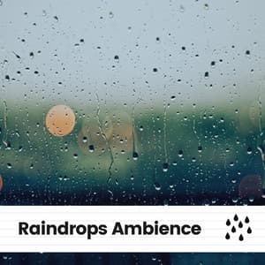 Raindrops Ambience - Rain is my Life