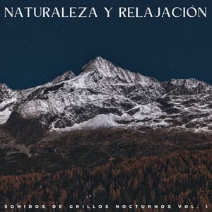 Naturaleza Y Relajación: Sonidos De Grillos Nocturnos Vol. 1 - Naturaleza Ruido