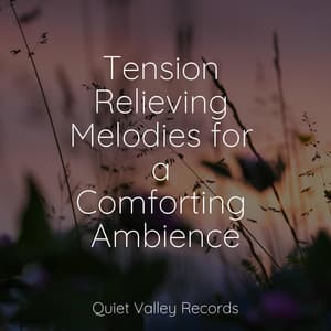 Tension Relieving Melodies for a Comforting Ambience - Rain
