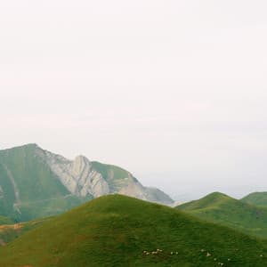 365 Wellness: Apex Living - Yoga Music