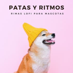 Patas Y Ritmos: Rimas Lofi Para Mascotas - Nación Lofi