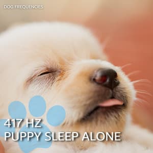 417 Hz Puppy Sleep Alone - Dog Frequencies