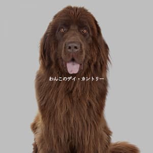 わんこのデイ・カントリー - Restaurante Clásico Jazz