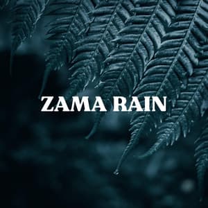 Rain and Birdsong - Zama Rain
