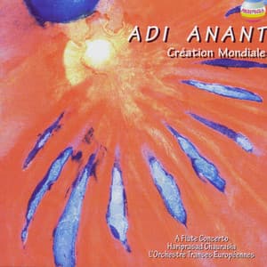 Adi Anant: Creation Mondiale - Hariprasad Chaurasia, Henri Tournier & Orchestra Trans Europeennes