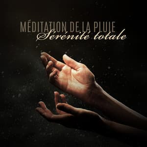 Méditation de la pluie: Sérénité totale, Contemplation de la vie, Guide de l'illumination spirituelle - Raindrops Healing Music Universe