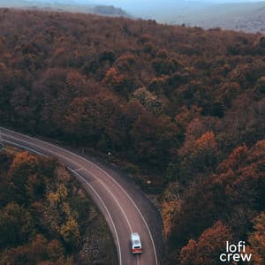 Positive Lofi Sounds - Exam Busters