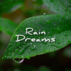 Rain Dreams - Rain Recorders