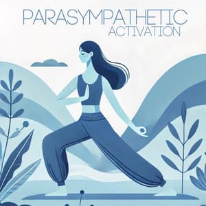 Parasympathetic Activation: Vagus Nerve Yoga Meditation - Meditation Mantras Guru